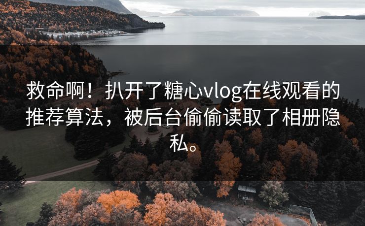 救命啊！扒开了糖心vlog在线观看的推荐算法，被后台偷偷读取了相册隐私。