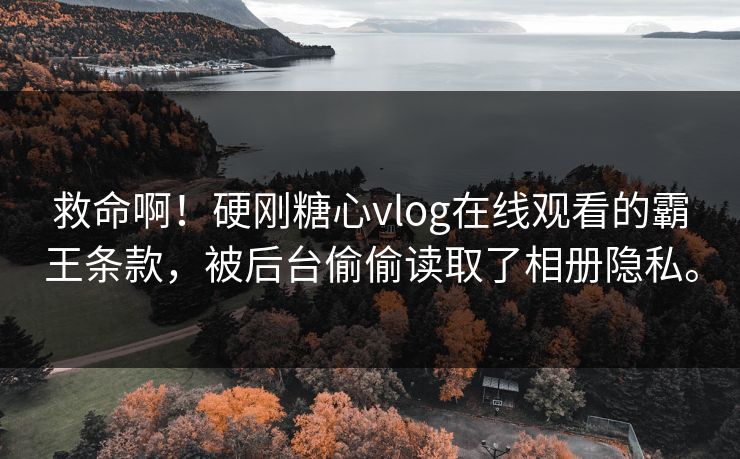 救命啊！硬刚糖心vlog在线观看的霸王条款，被后台偷偷读取了相册隐私。