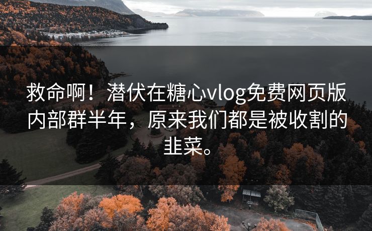 救命啊！潜伏在糖心vlog免费网页版内部群半年，原来我们都是被收割的韭菜。