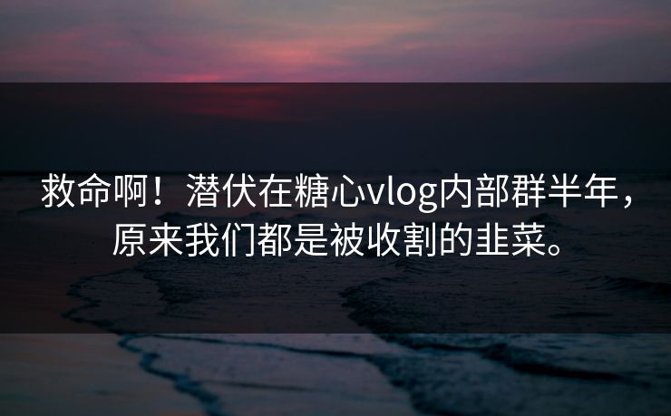 救命啊！潜伏在糖心vlog内部群半年，原来我们都是被收割的韭菜。